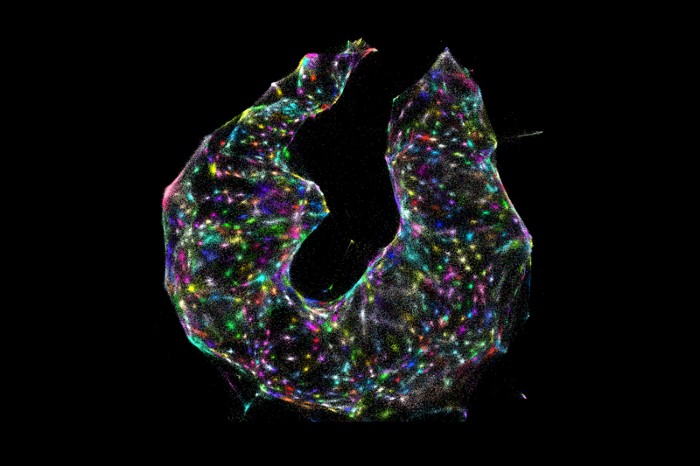 Microscope Made Of Dna Reveals A Cell S Hidden Structures Research Highlights