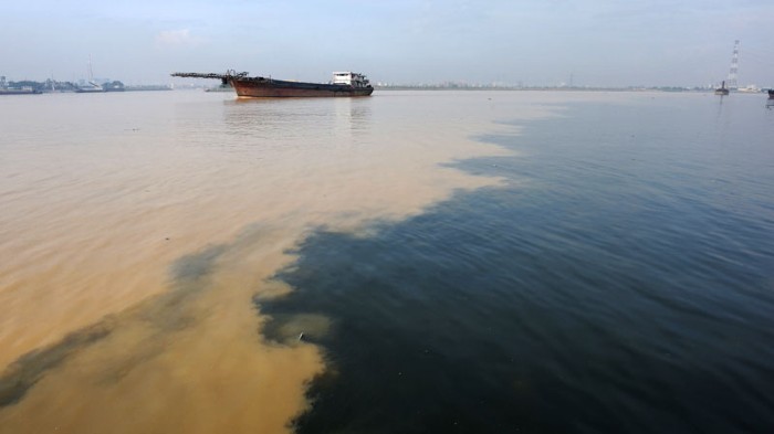 Dark polluted water from the Zengcheng City.