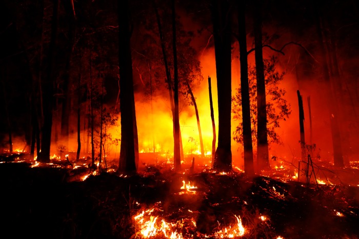 Catastrophic bushfires derail research