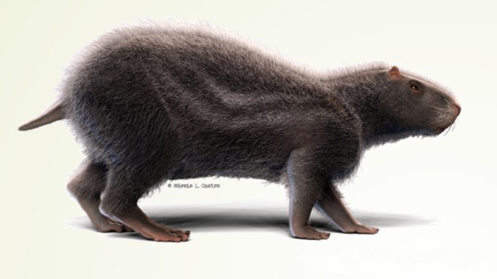 Artistic reconstruction of N. Acreensis (by Márcio L. Castro).