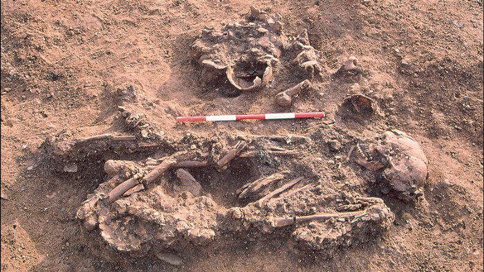 Inhumation Sk 6 from Windmill Fields, Ingleby Barwick, North Yorkshire, disarticulated remains.