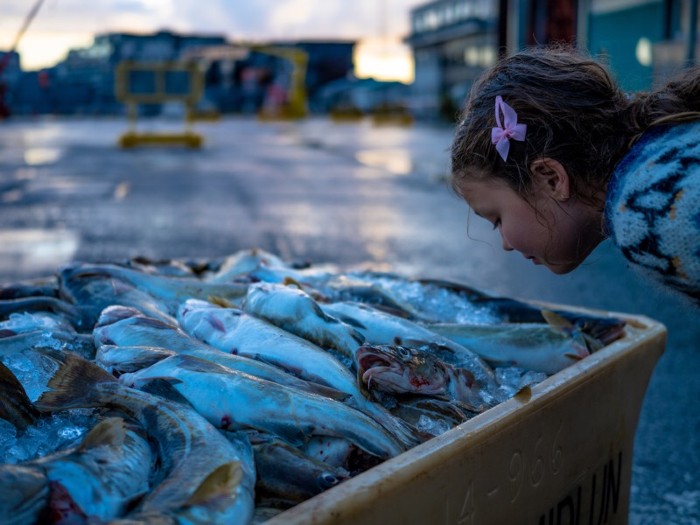 A child smelling fish.