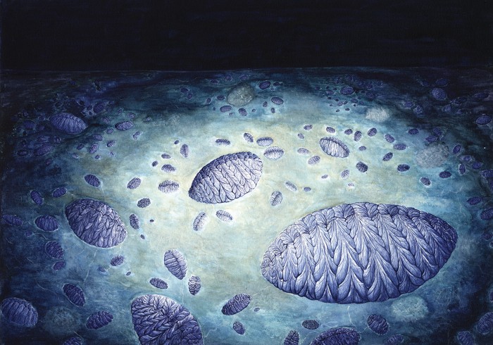 Artistic reconstruction of Fractofusus on the H14 surface, Bonavista Peninsula