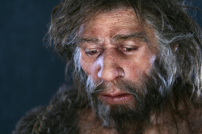 Neanderthal model