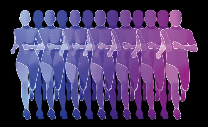 Illustration of 13 overlapping figures with a range of body types changing from blue on the left to purple on the right