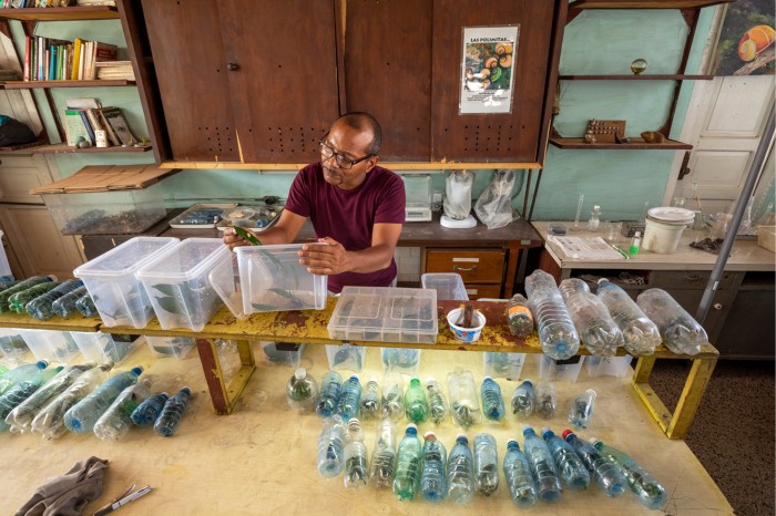 Bernardo Reyes-Tur studies painted snails housed in plastic bottles and containers in his breeding lab in Santiago de Cuba, Cuba