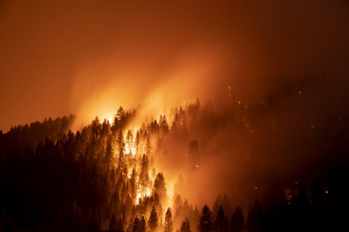 Trees consumed by the Dixie fire at night
