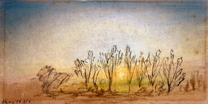 A sketch of a sunset behind some trees with a green glow on the horizon