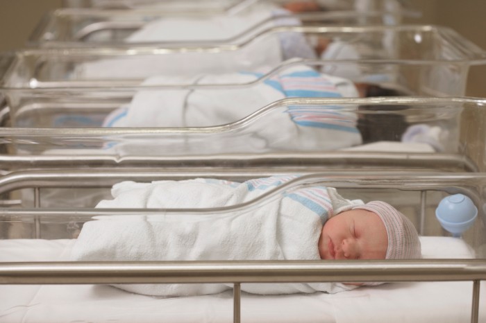 A row of swaddled newborn babies sleeping in hospital cots