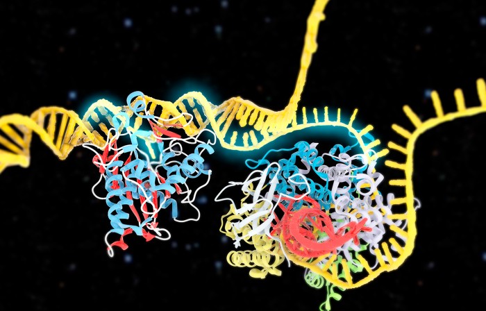 CRISPR-Cas9-ABE gene editing complex, illustration. CRISPR-Cas9-ABE gene editing complex, molecular structure.