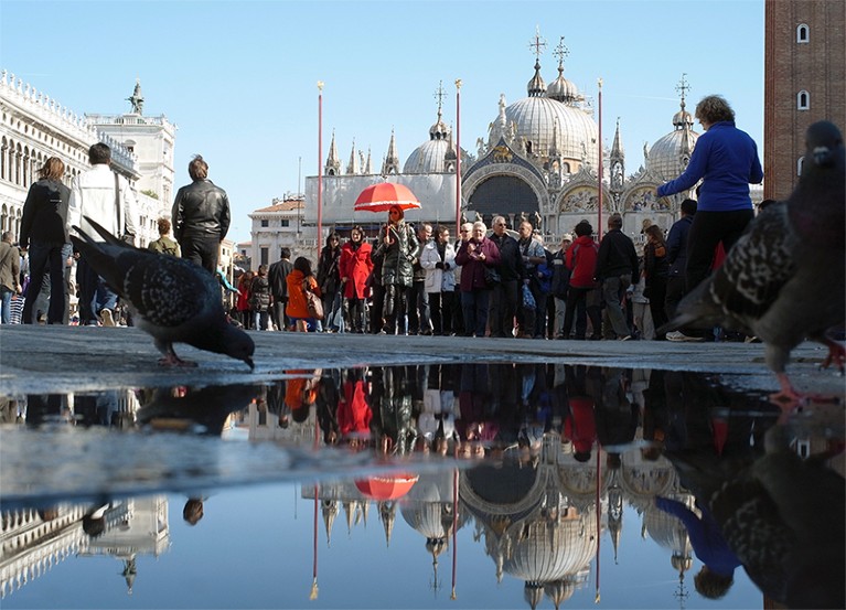 People and birds in front of the Basilica di San Marco, Venice.