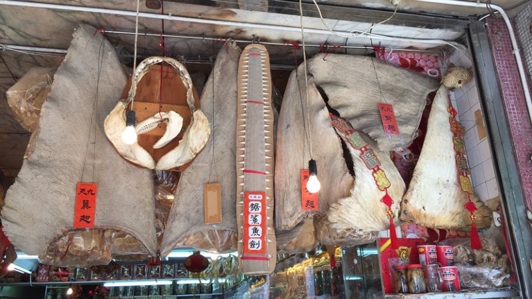 Shark fins for sale in the Hong Kong seafood market, a global centre for the controversial trade.