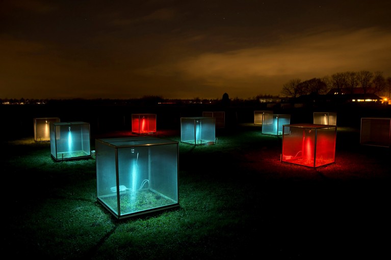 A mesocosm experiment of box lights at night