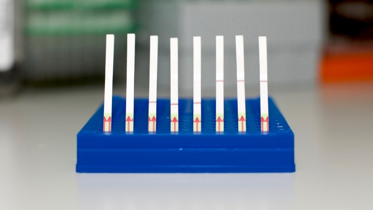 Paper test strips showing positive and negative results