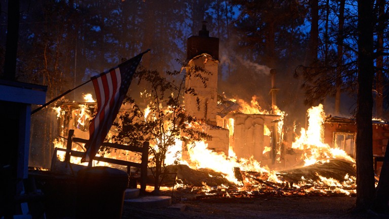 House engulfed in flames surrounded by a forest