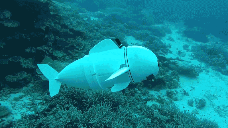 Remote controlled soft robotic fish