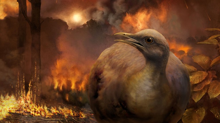 A bird flees a burning forest in the aftermath of the asteroid strike