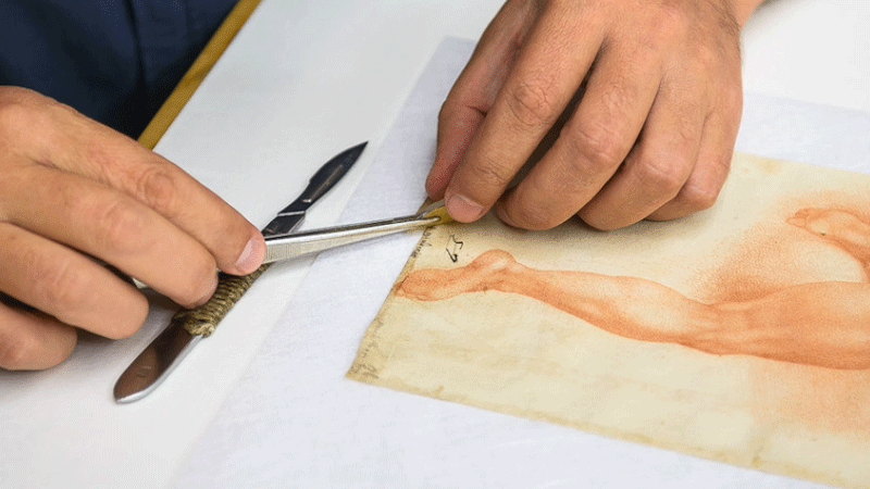 Restorer removes tape from a 16th-century drawing