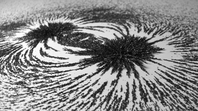 Iron filings in a magnetic field
