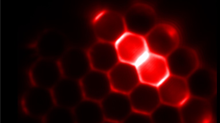 A group of microlasers self-assembled into a honeycomb lattice