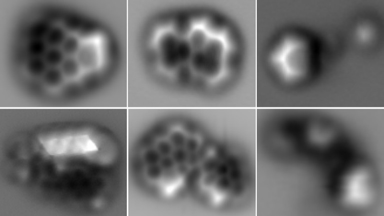 Atomic force microscopy images of molecules found in soot