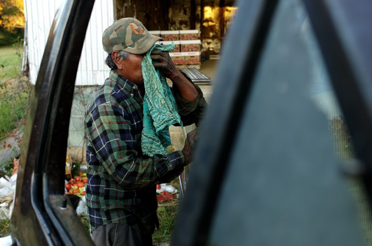 A farm worker wipes his face after an exhausting day in the fields.