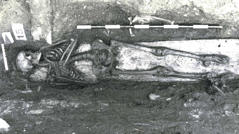800-year-old skeleton