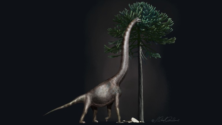 Illustration of a Brachiosaurus
