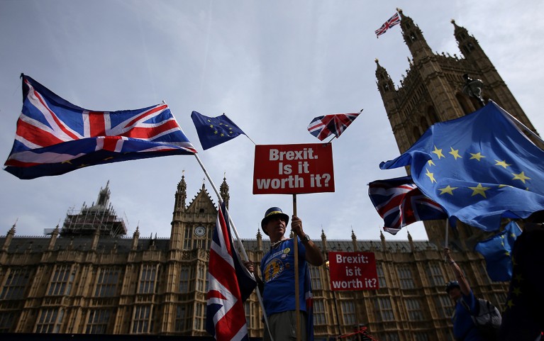 A man holds flags during Brexit protest