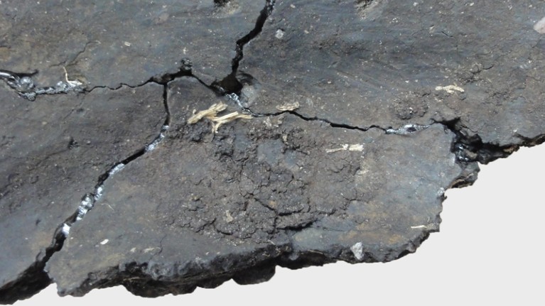 Fragment of Endmesolithic pottery with foodcrust