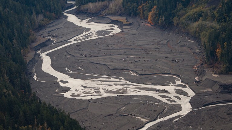 Winding view of Elwha river, site of the former Lake Mills, south of the Glines Canyon Dam in 2012.