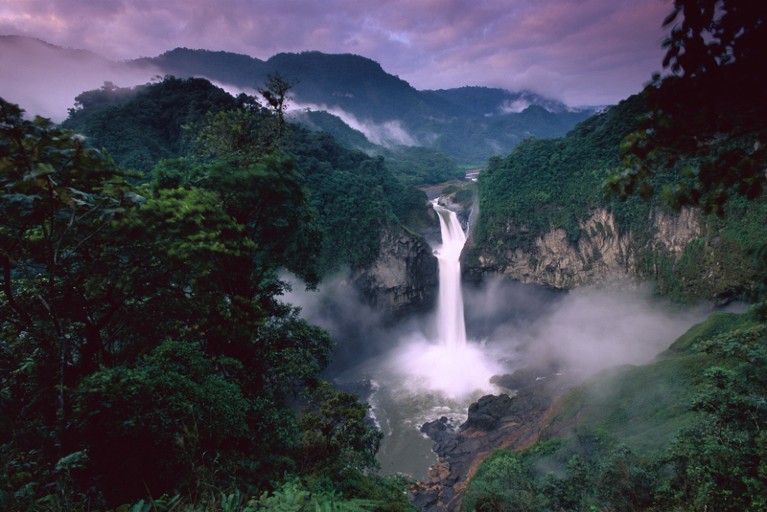 A large waterfall in the middle of a tropical rainforest with dark trees and a purple sky