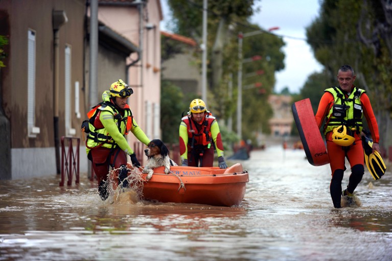 Rescue workers push a dog in a boat through flood waters in Carcassonne, France