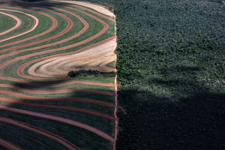 Soy fields border untouched Cerrado forest in the Matopiba region of Brazil