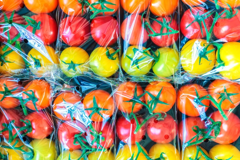 Red, yellow and orange tomatoes wrapped in clear plastic
