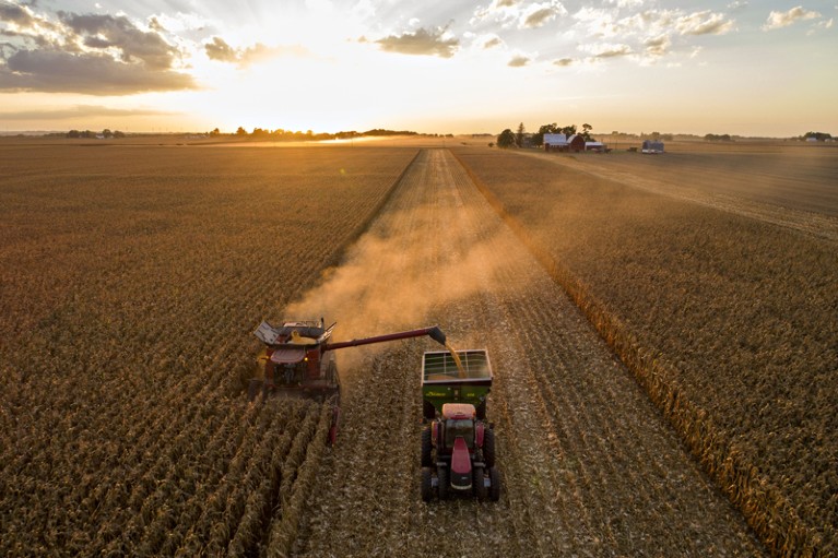 Corn is harvested with a combine harvester in Princeton, Illinois
