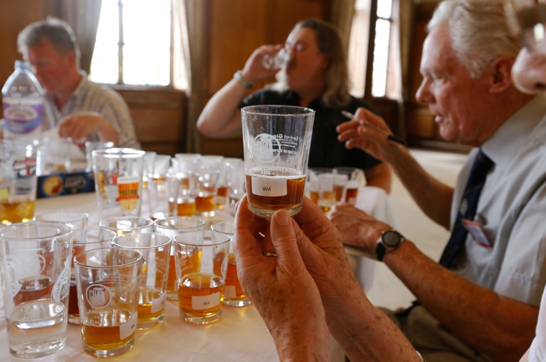 Judges taste beer during a competition at a beer festival