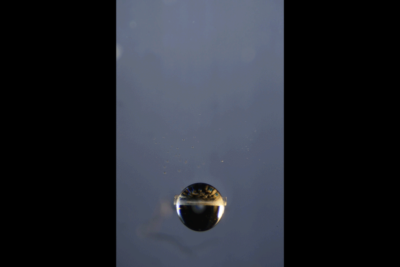 Oil droplet bouncing in a stratified ethanol-water mixture