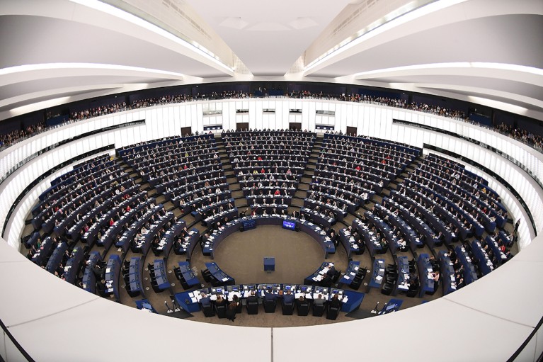 Members of the European Parliament take part in a voting session.