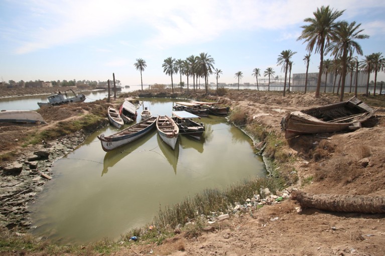 Fishing boats moored in the Shatt al-Arab water way near Basrah, Iraq