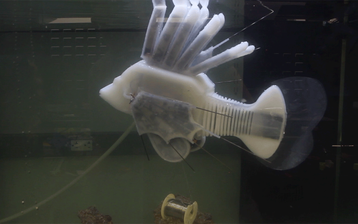 Soft robotic fish swimming