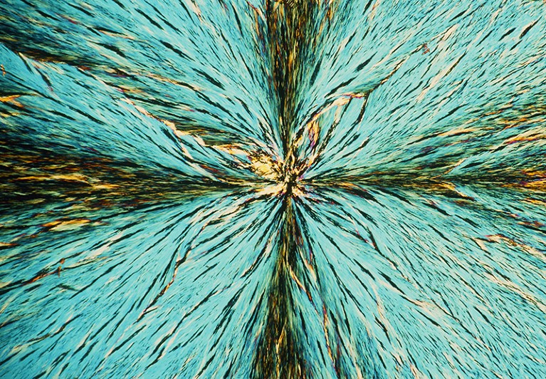 Polarised light micrograph of crystals of menthol