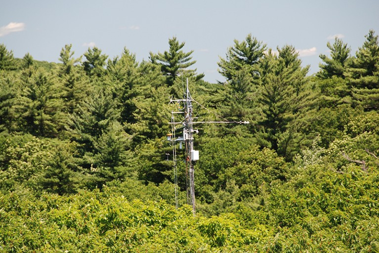 The Environmental Measurements Tower in Harvard Forest