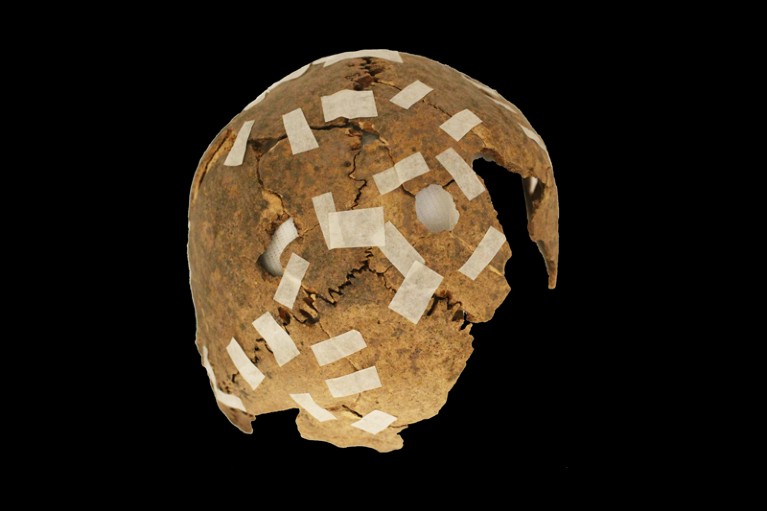 Reconstructed skull with perforations from Iglesia Colorada