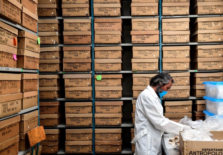 An archaeologist works at the osteological collection of the Anthropology National Museum in Mexico City