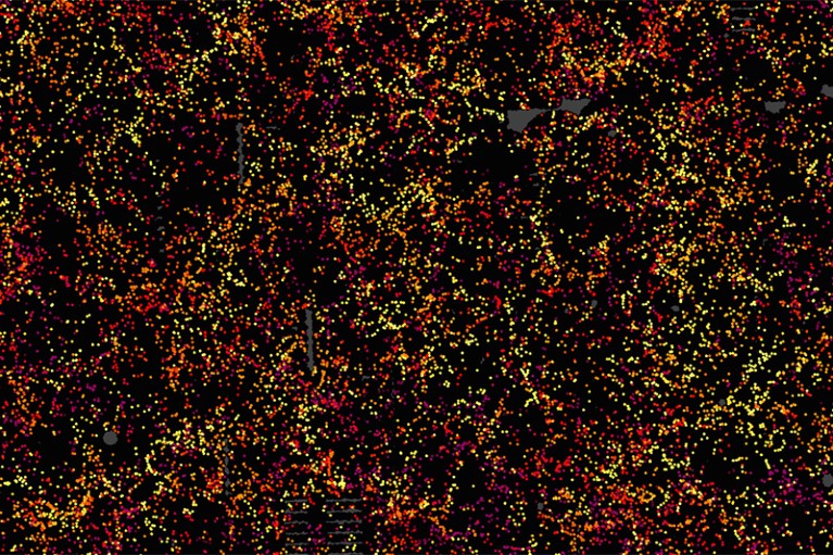 Slice through a map of the structure of the Universe by SDSS and BOSS, with galaxy positions displayed as coloured dots.
