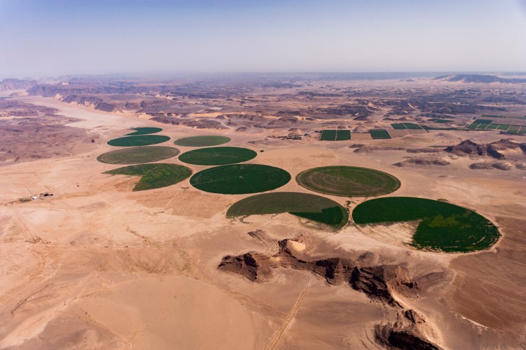 Carousel irrigation system creates circular crop fields in the Wadi Rum desert in Jordan