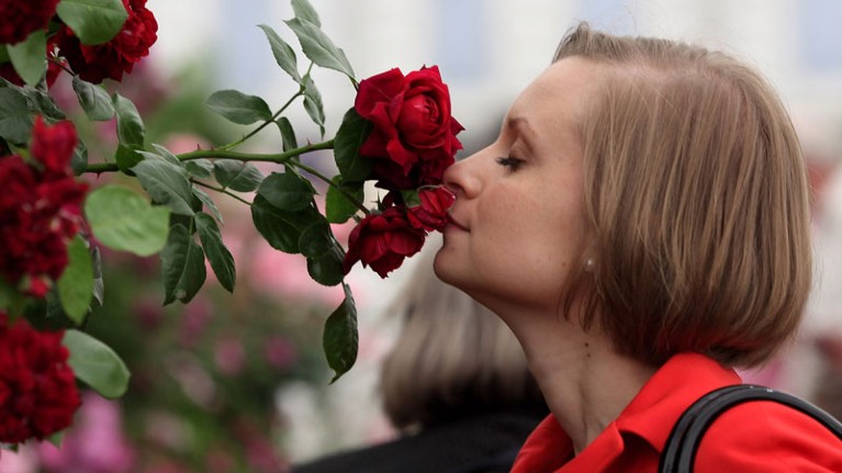 A woman smells a flower in the rose garden at the annual Chelsea flower show in London.