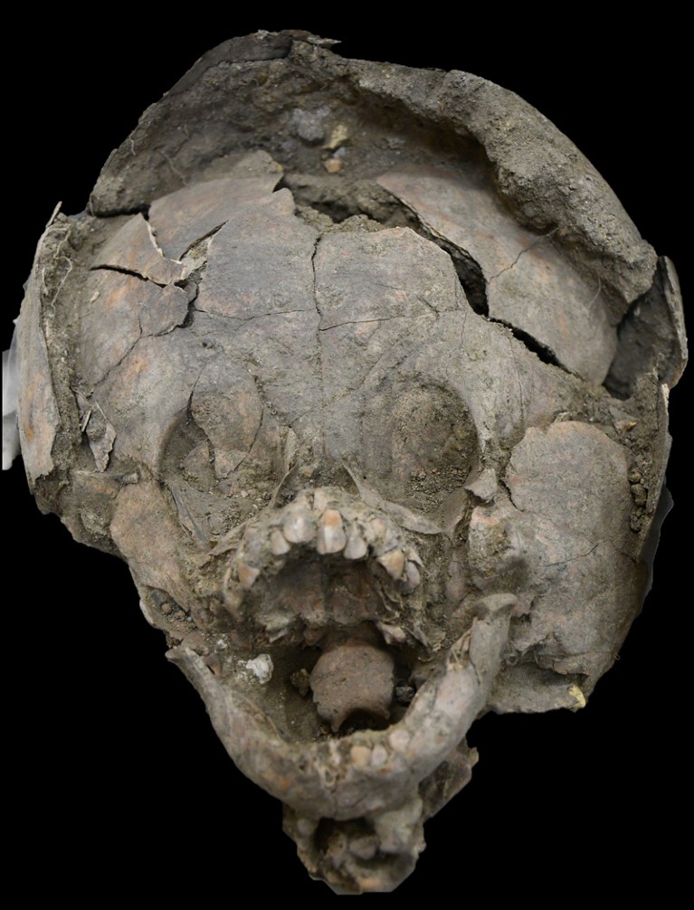 Infant burial 370, showing an additional cranium surrounding the primary individual's skull.