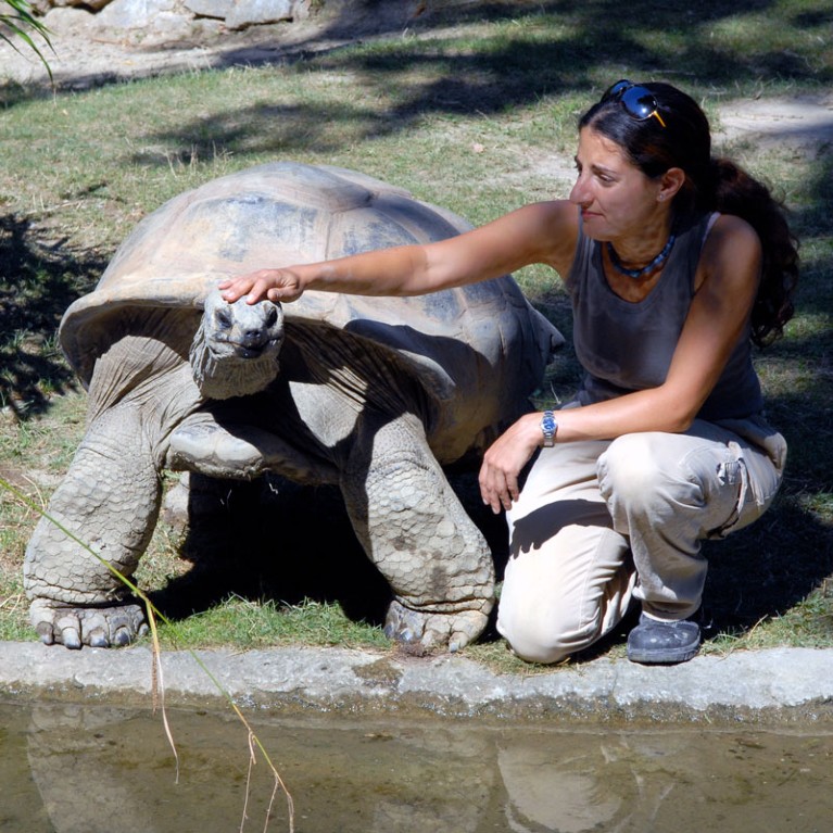 90 year old Aldabra tortoise "George" and experimenter Tamar Gutnick at the Vienna Zoo.
